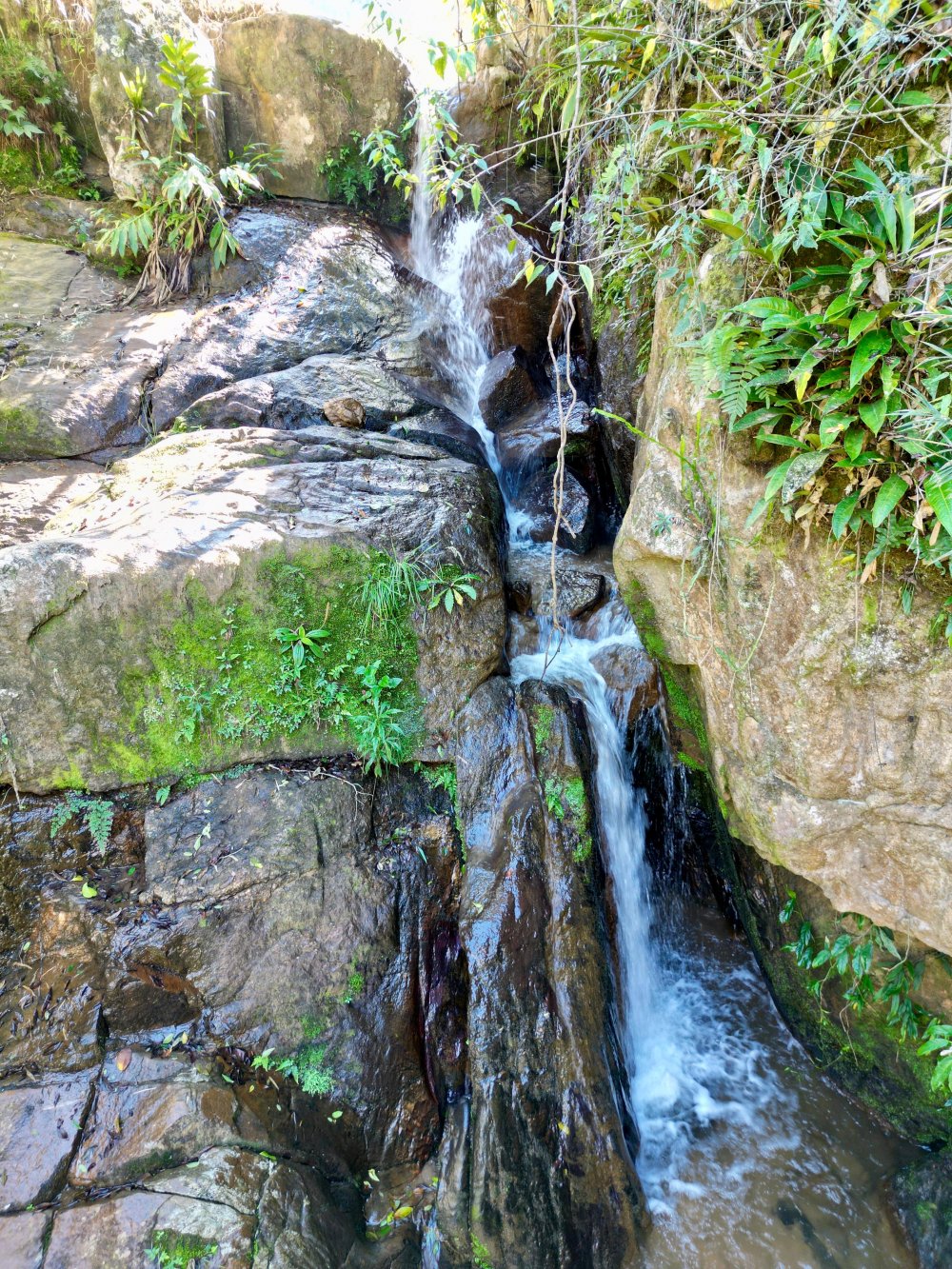 Stio - Venda - Pedra Branca - Cunha - SP