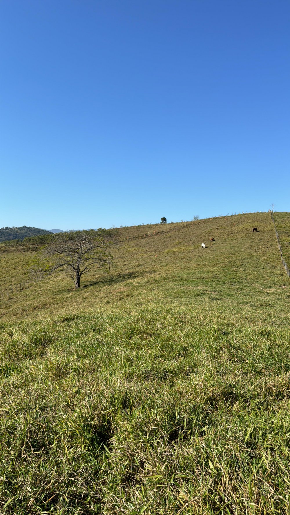 Chcara - Venda - / - Guaratinguet - SP